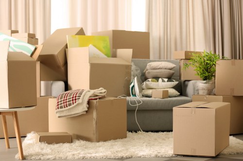 Moving vehicle options for local removals